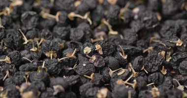 Kuru Lycium Rutenicum sırayla 