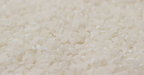White Uncooked Rice Close — Stock Photo, Image