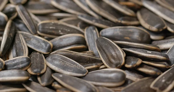 Group Sunflower Seeds Close — Stock Photo, Image