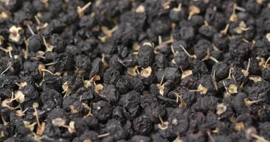 Kuru Lycium Rutenicum sırayla 