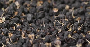 Kuru Lycium Rutenicum sırayla 