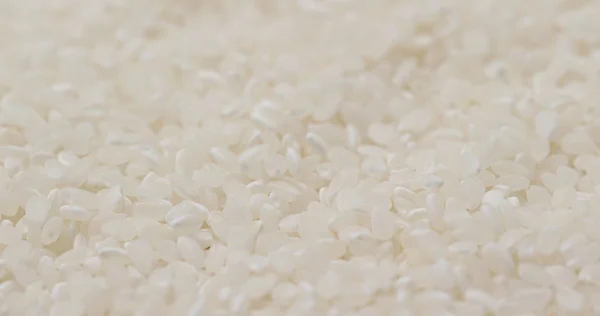 Ryż Niełuskany Tle Pile — Zdjęcie stockowe