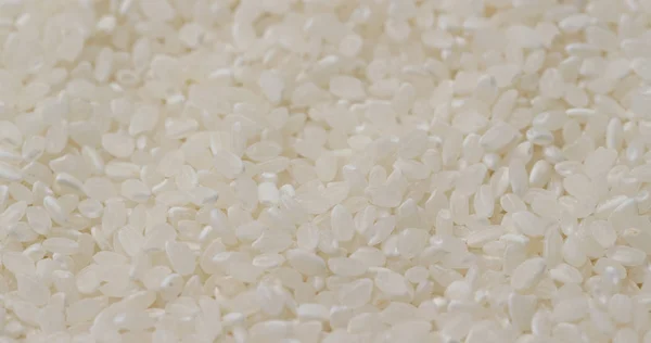 Ryż Niegotowane Bliska — Zdjęcie stockowe