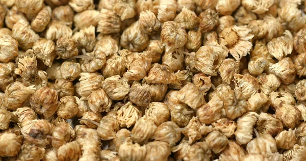 Dry Chrysanthemum Herbal Tea — Stock Photo, Image