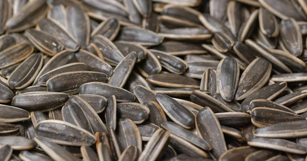 Stack Sunflower Seeds Close — Stock Photo, Image