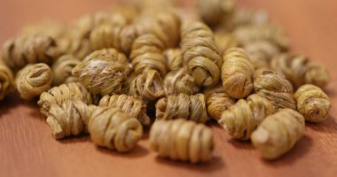 Kuru Dendrobium nobiles yakın