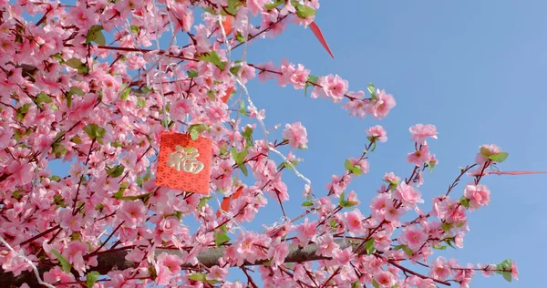 Peach Blossom Red Packet Words Means Luck — Stock Photo, Image