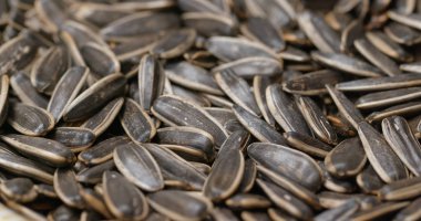 Ayçiçeği tohumu yığını yakın 
