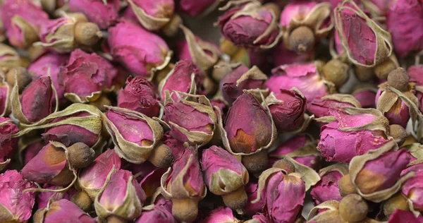 Herbal Rose Tea Close — Stock Photo, Image