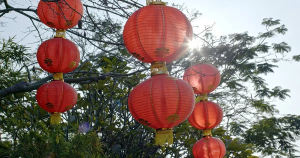 Lanterne Rosse Capodanno Cinese — Foto Stock