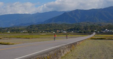 Chishang, Taitung, Tayvan - 30 Aralık 2018: Chishang pirinç çayır tarlası