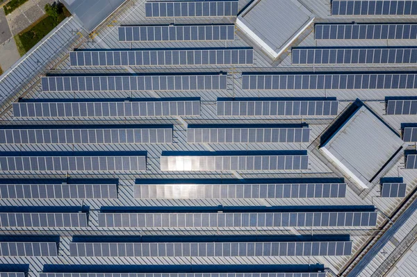 Topo Telhado Com Planta Painel Solar — Fotografia de Stock