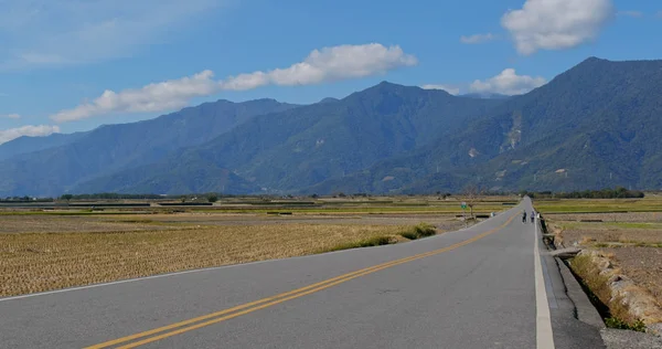 Chishang Rice Meadow Field — Stock Photo, Image