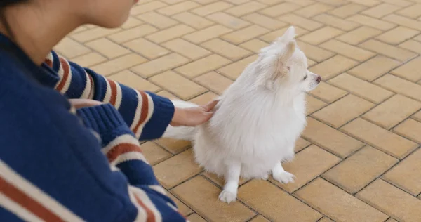 Dışarıda Köpeğine Sarılan Bir Kadın — Stok fotoğraf