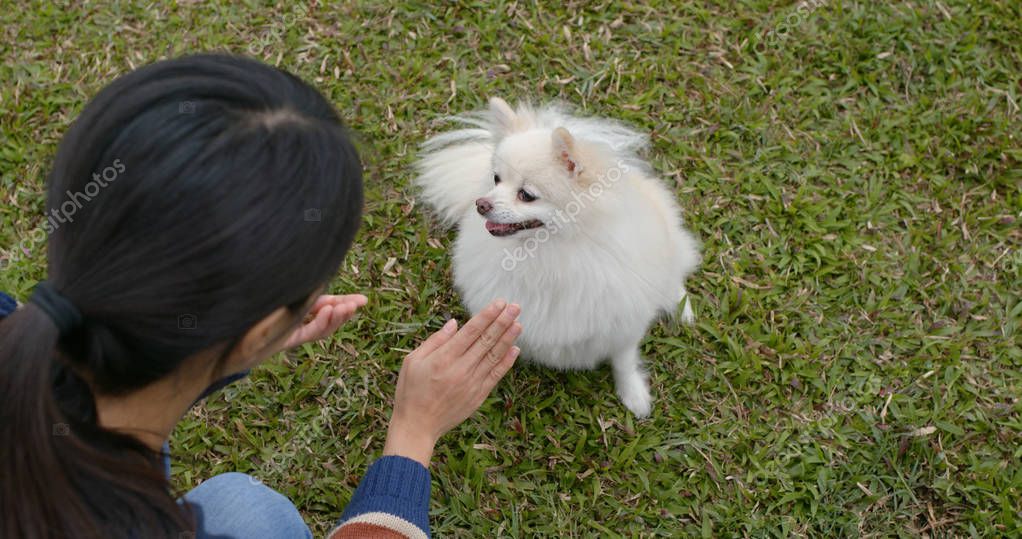 leungchopan