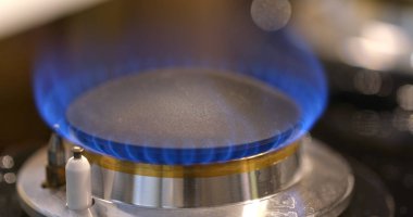 Gaz Soba brülör portre