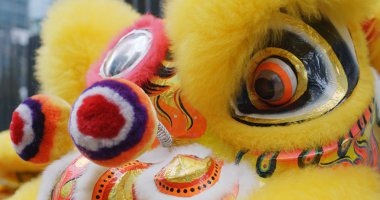 Sarı Çin aslanı dansı