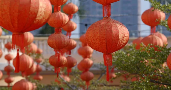 Lunar New Year Red Lanterns — Stock Photo, Image