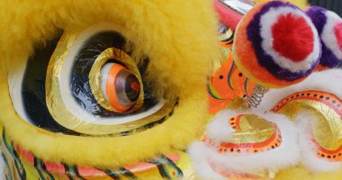 Çin aslanı sarı dans ediyor