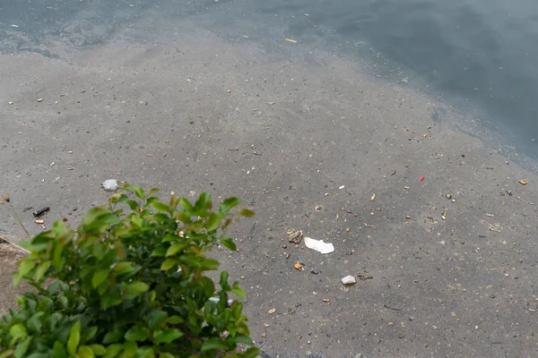 海の眺めにおける水質汚染 — ストック写真