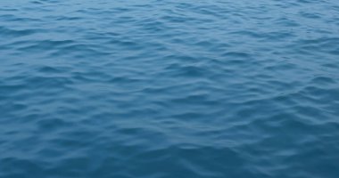 Deniz yüzey dalgası görünümü