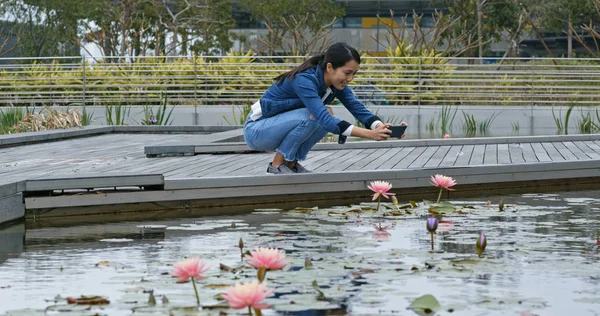 Femme Prendre Des Photos Sur Étang Nénuphars Dans Parc — Photo