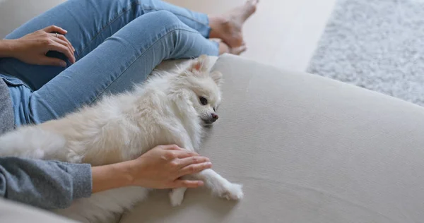 Wanita Menyentuh Anjing Pomeranianya — Stok Foto
