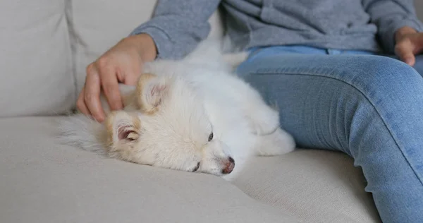 Mulher Abraçando Seu Cachorro Pomerano — Fotografia de Stock