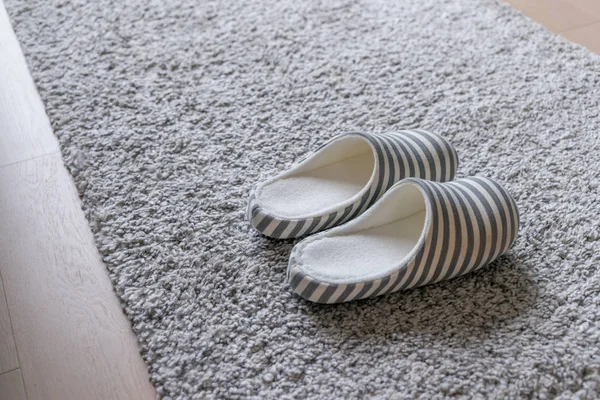 Slippers Grey Carpet Floor Home — Stock Photo, Image