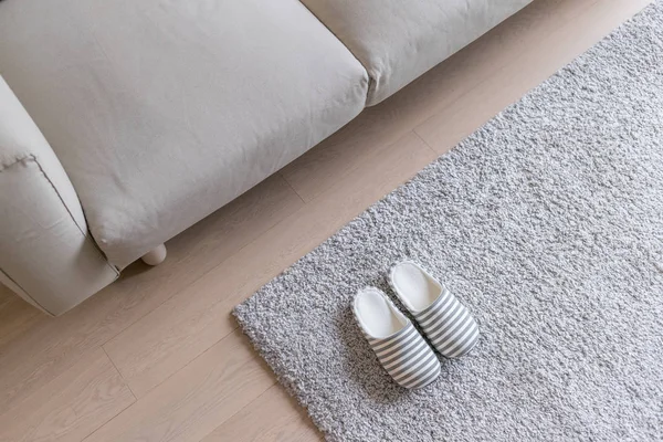 Slippers Grey Carpet Floor Home — Stock Photo, Image