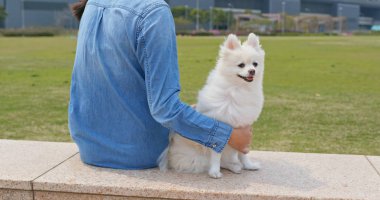 Kadın oyun ile onu köpek içinde yeşil Lawn