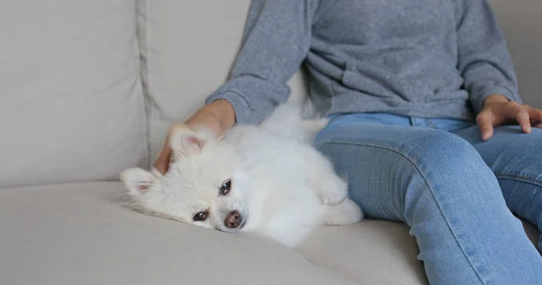 Kadın Evde Köpeği Kucaklamak — Stok fotoğraf