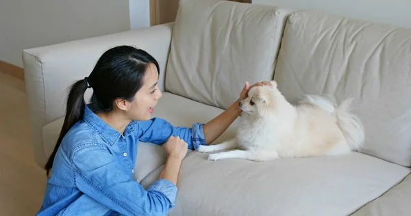 Mujer Abrazar Perro Pomerania Casa — Foto de Stock