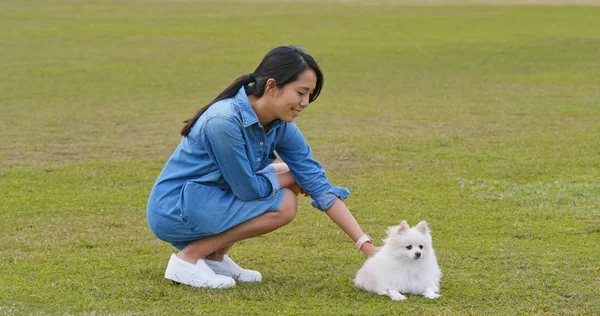 Женщина Играет Своей Собакой Открытом Парке — стоковое фото
