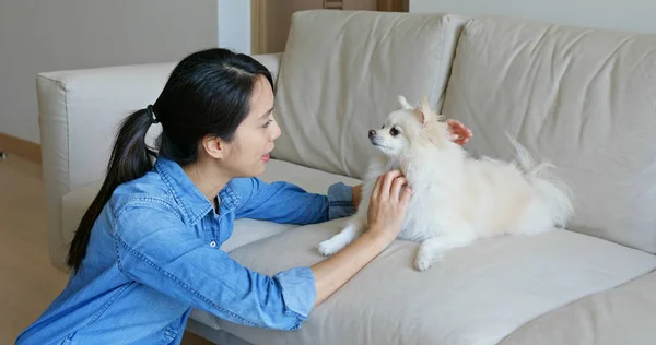 Femme Câliner Son Chien Poméranien Maison — Photo