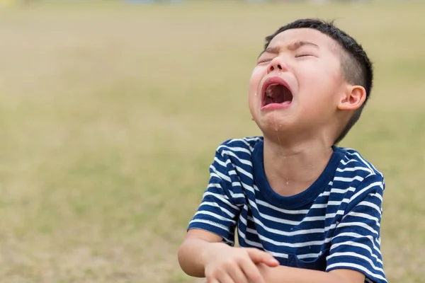 公園でアジア系の男の子が泣く — ストック写真