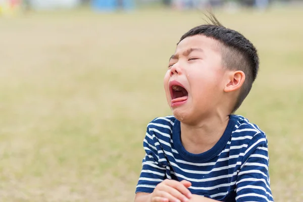 公園でアジア系の男の子が泣く — ストック写真