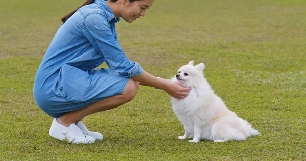 Woman Play Her Pomeranian Dog Park — Stock Photo, Image