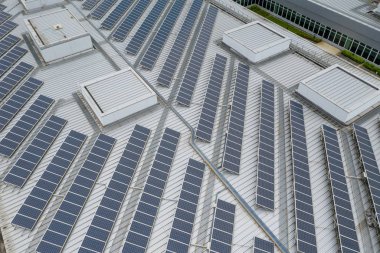 Güneş panellerinin üst görünümü