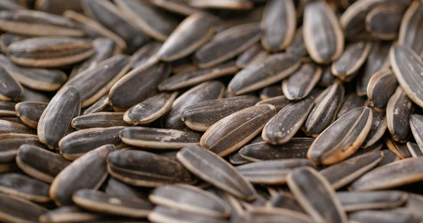 Stack of Sunflower seed — Stock Photo, Image