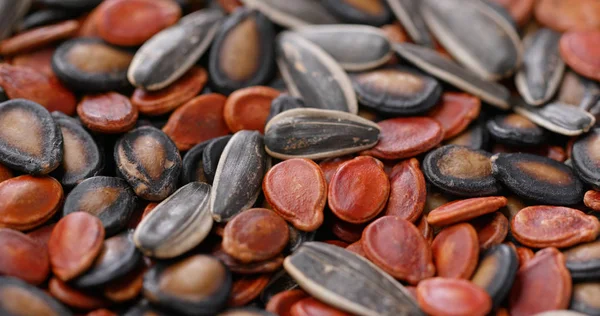 Mix of dry seed for lunar new year — Stock Photo, Image