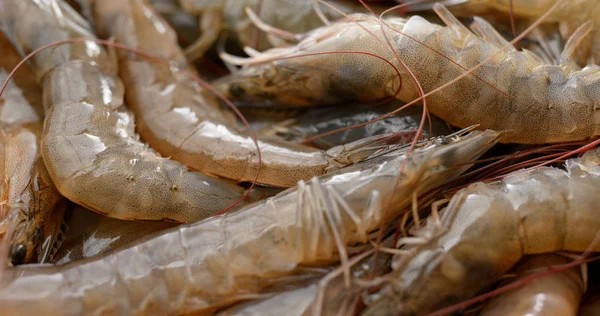 Crevettes Fraîches Non Cuites Gros Plan — Photo