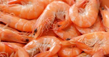 Taze pişmiş karidesler yakın