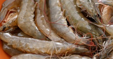 taze çiğ karides yakın çekim 