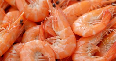 Bir yığın taze pişmiş karides.