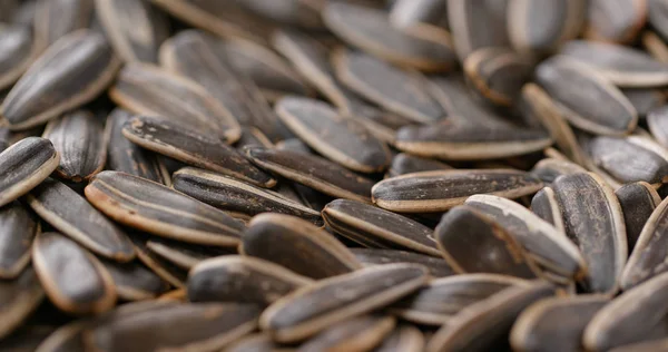 Sunflower Dry Seeds Close — Stock Photo, Image