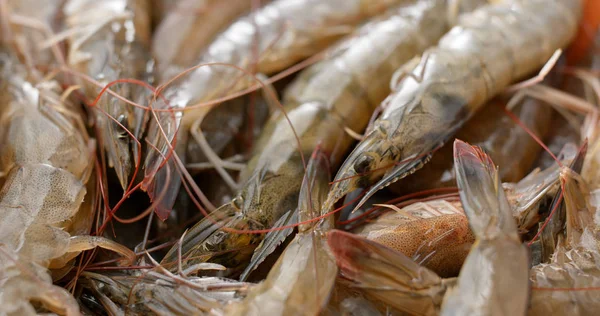 Empilement Crevettes Fraîches Fermer — Photo