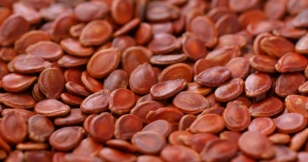 Chinese New Year Red Melon Seeds — Stock Photo, Image