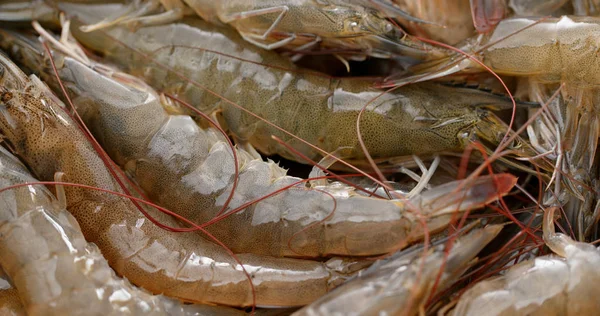 Camarones Crudos Frescos Cerca — Foto de Stock