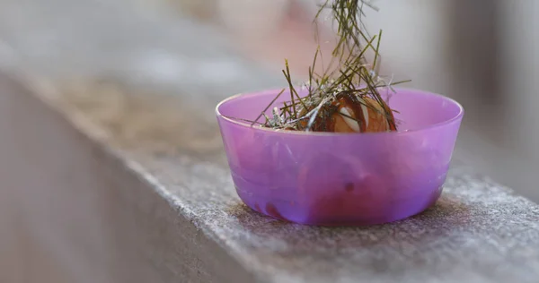 Caseiro Takoyaki Tigela Perto — Fotografia de Stock